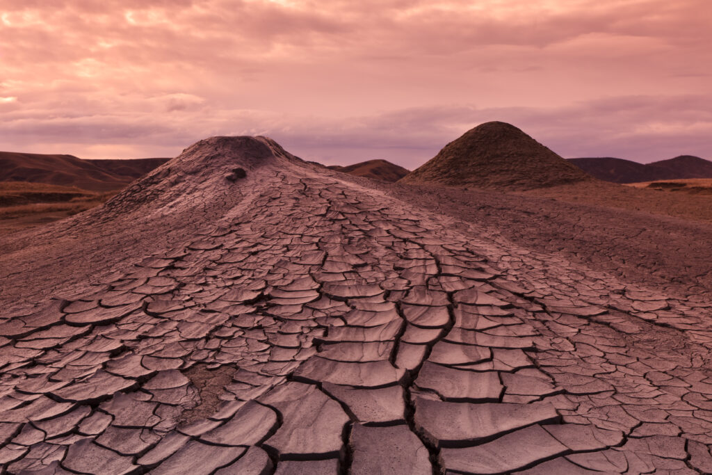 Jardines de lluvia solución verde para la crisis hídrica en BC (4)